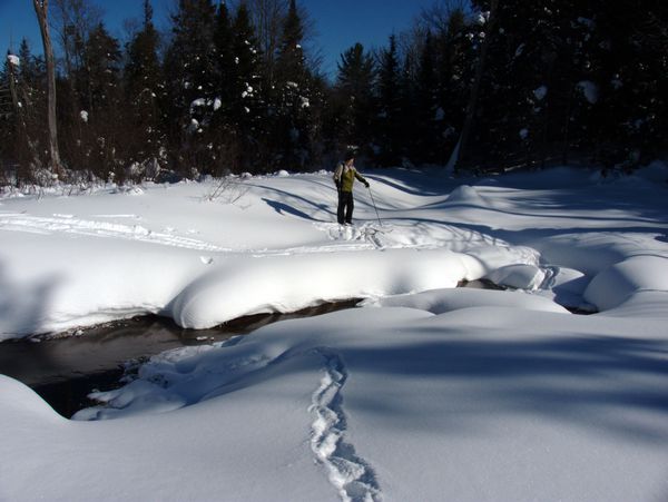 Bill waiting by the buried Beaver dam.