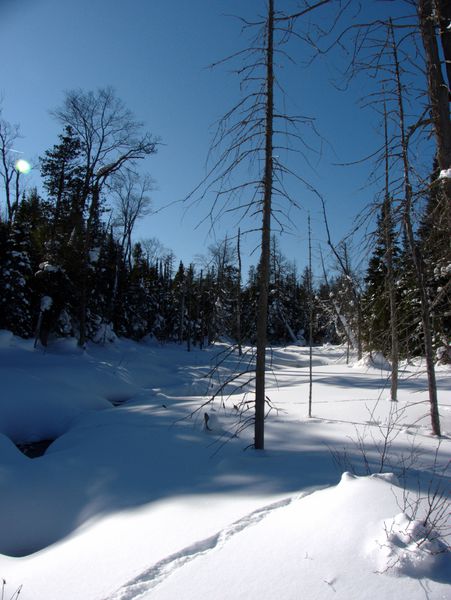 Creek near the beaver dam along "the Loop".