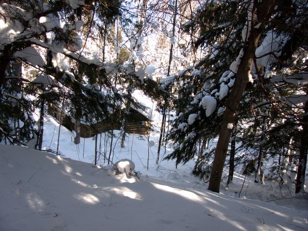 The Cabin as seen from Camp A&A heights.