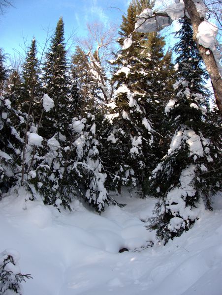 Scenery near the Cabin.