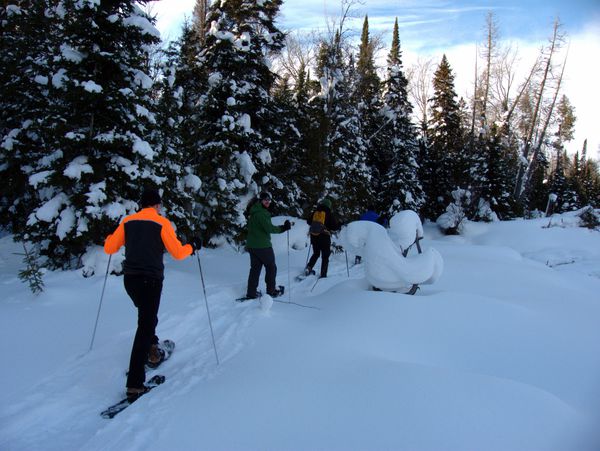 Snowshoeing in the marsh behind the Cabin.