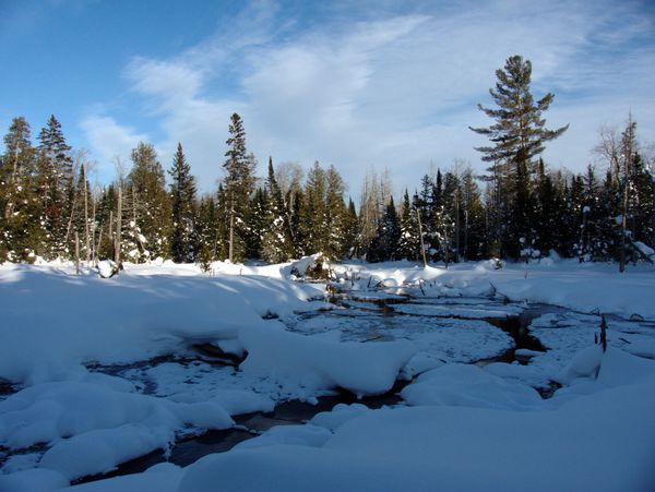 The river behind the Cabin.