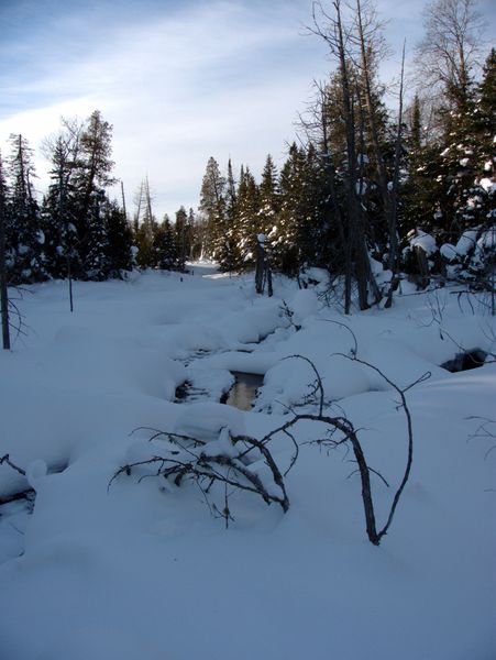 River behind the Cabin.