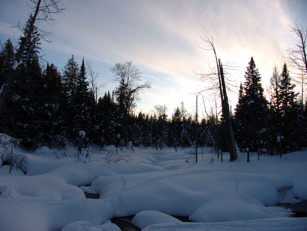 River behind the Cabin.