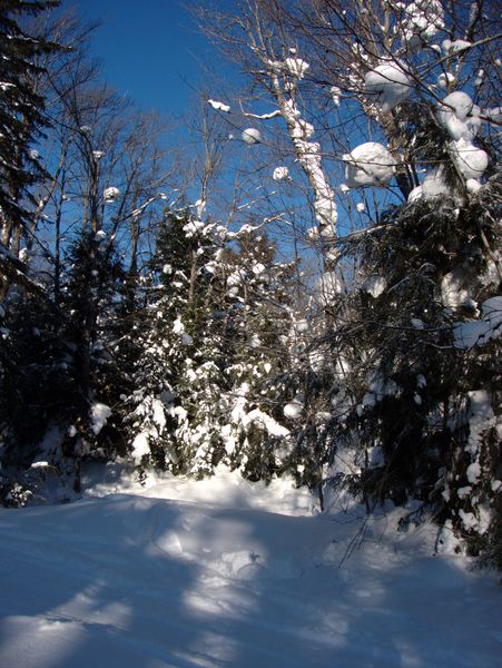 Scenery on the cross country ski trip.