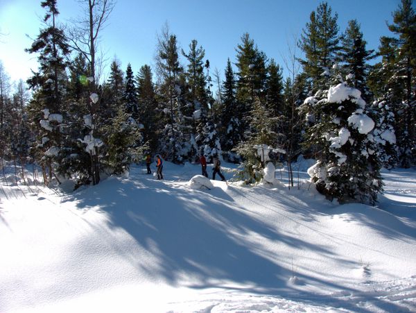 Cross country skiing along McCloud Grade.