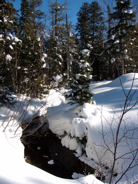 Water along McCloud Grade.