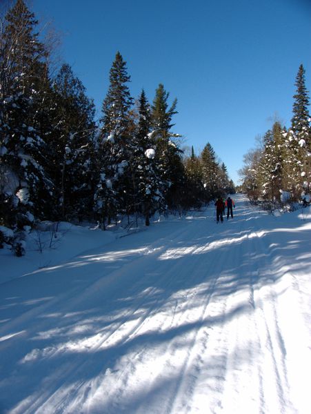 Skiing along McCloud Grade.