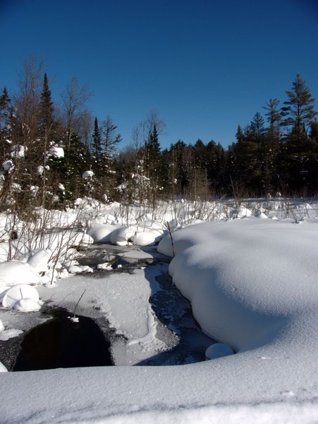 River near the Lucky Buck.