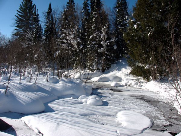 River near the Lucky Buck.