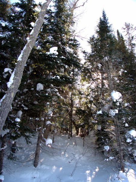 Scenery along "the Loop".