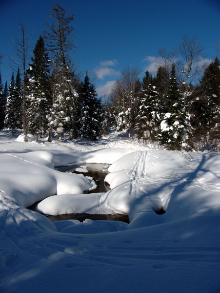 Back to the river along "the Loop".