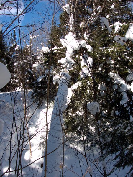 Scenery near the Cabin.