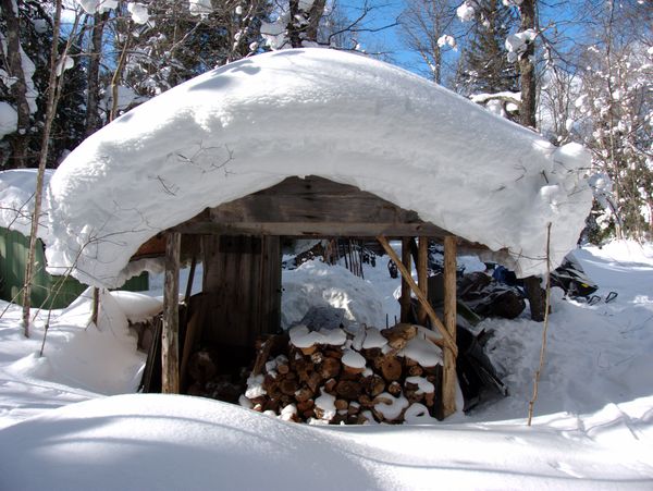 Back of the woodshed.