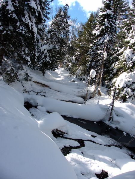 Creek near the Cabin.