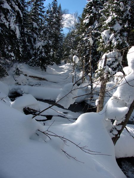 Creek near the Cabin.