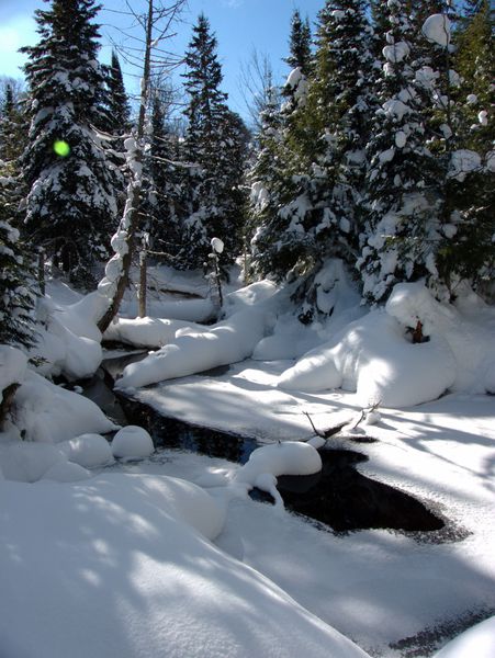 Creek near the Cabin.