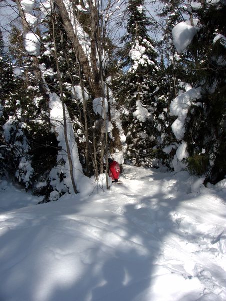 Paul among the trees at the end of toboggan run.