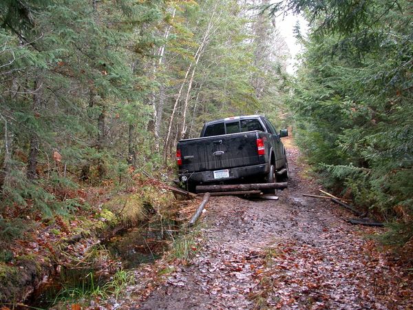 Ted's truck stuck in the mud.