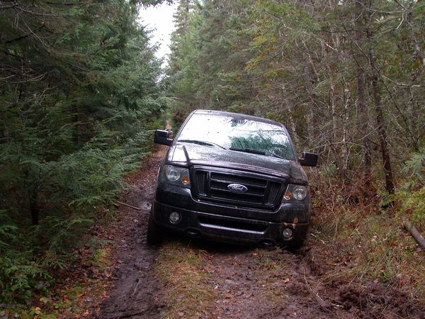 Ted's truck stuck in the mud.