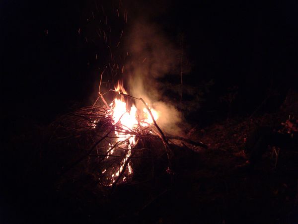 The burning stump.