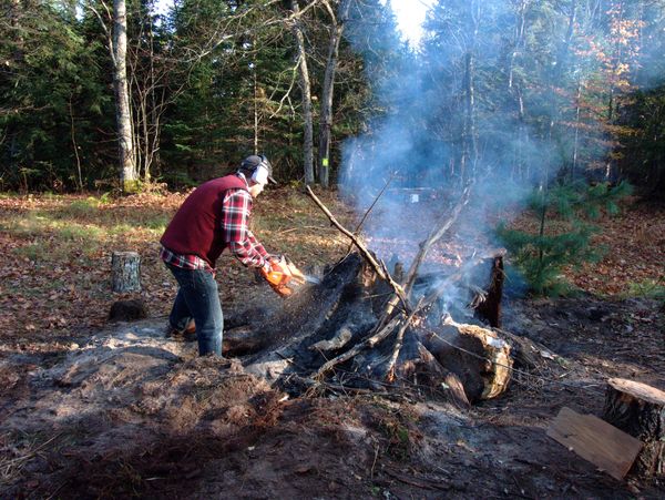 Doug chainsawing the stump.