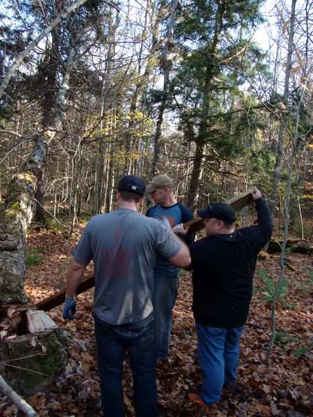 Trying to lever the tree off its stump.