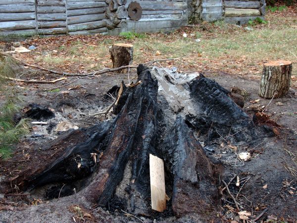 What is left of the stump.