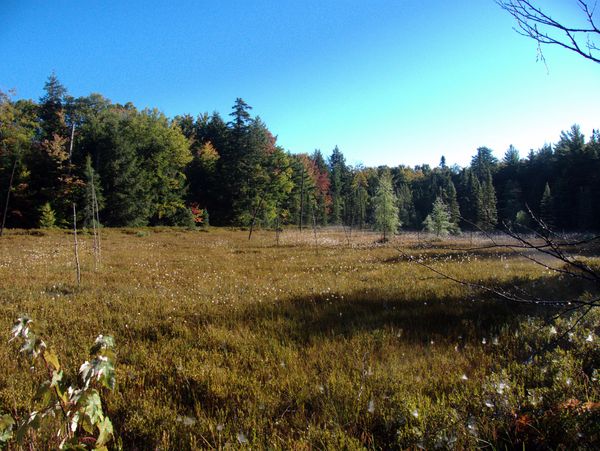 Another look across the field.