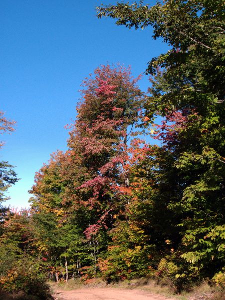 More fall colors along 443.