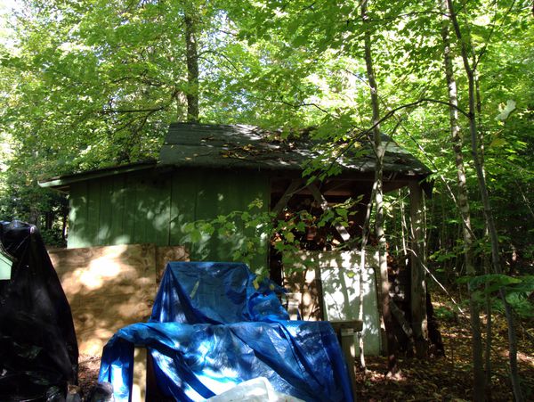 Side of wood shed.