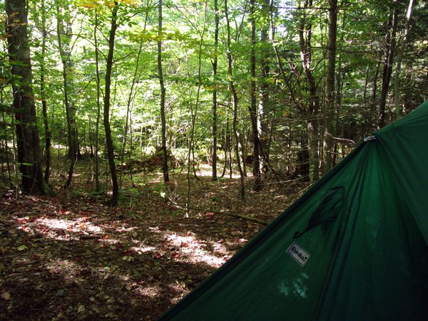 View from my tent in Camp A&A heights.