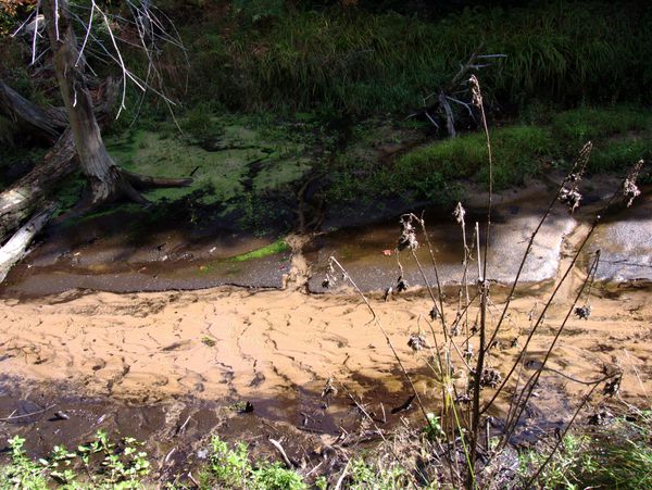 Creek near the Cabin.