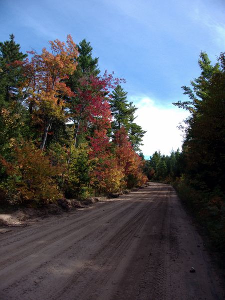 Colors along McCloud Grade.