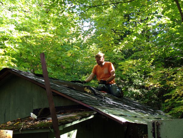Finishing the shingling on the wood shed.
