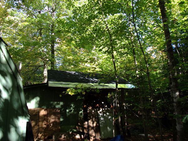 New wood shed roof.