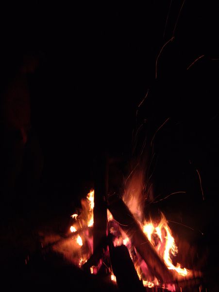 Burning the stump!