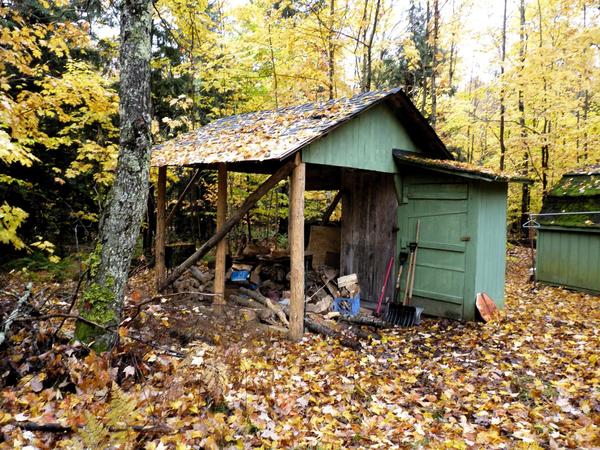 Woodshed on arrival.