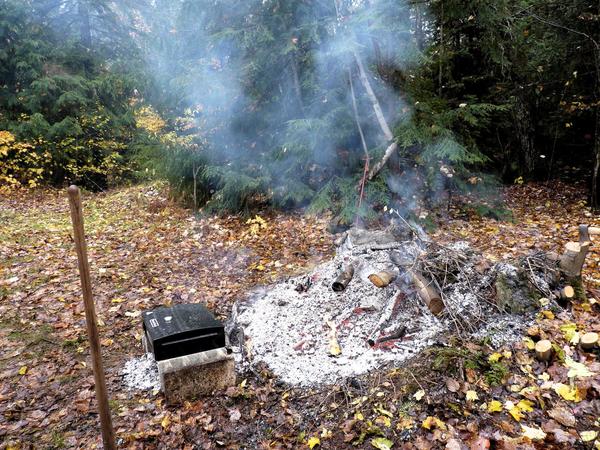 Pizza oven at the fire pit.