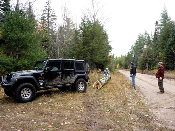 Jon ready to ride the tree back to the Cabin.