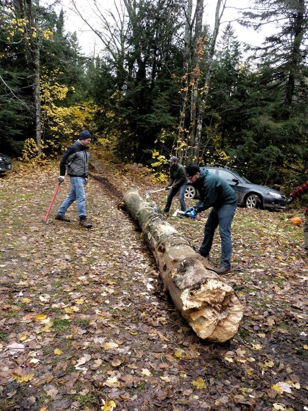 Chopping up the tree.