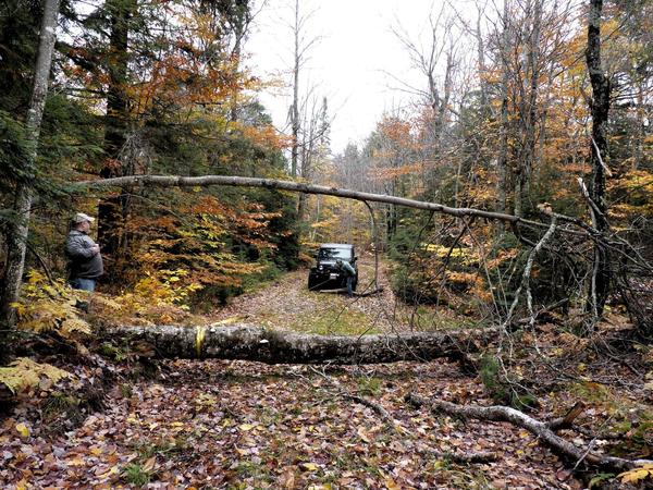 Gary trying to winch a tree off our path while four wheeling.