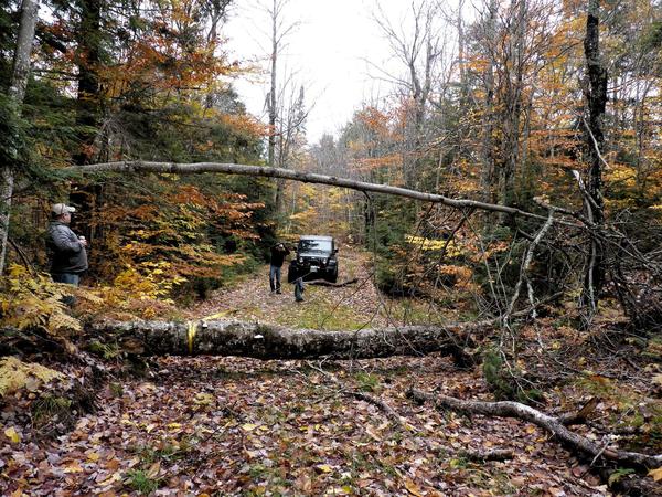 Gary still trying to winch a tree off the road while four wheeling.