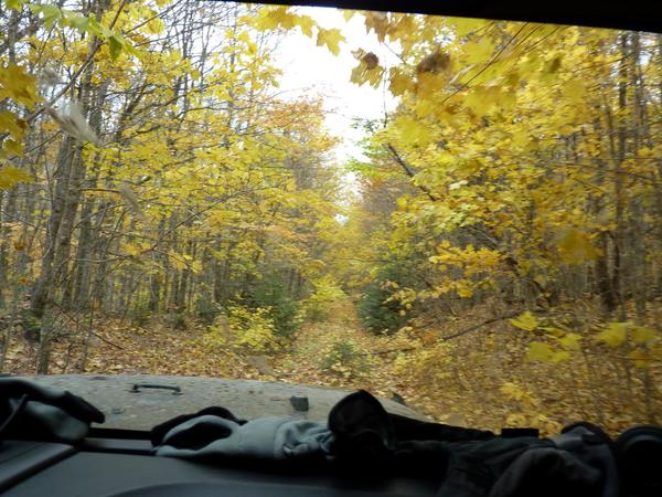 One of the many roads we drove down while four wheeling.