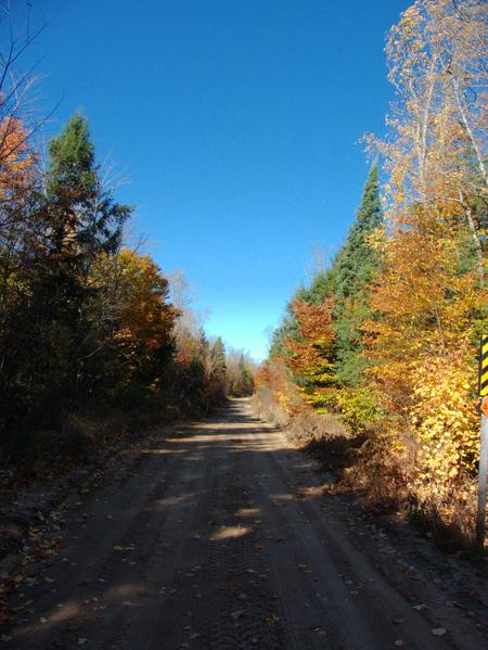 McCloud Grade on a beautiful fall day.