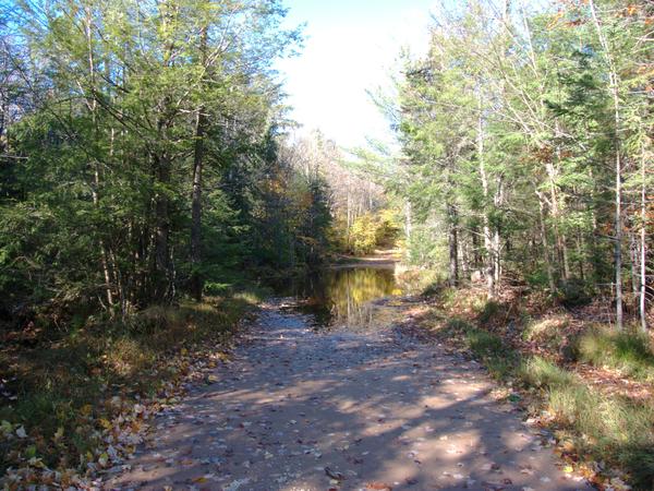 View along 443 heading back to the Cabin.  This large pool of water, which extended far into the woods, was not there in August!