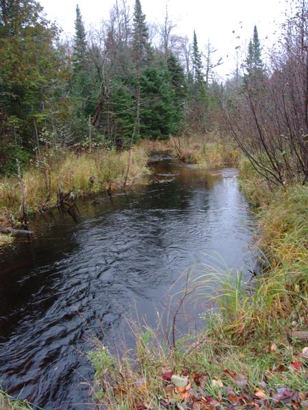 Harvey Creek as seen from McCloud Grade.