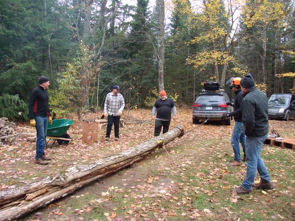 Everyone (still uninjured) looking at the downed tree after being pulled out of the woods.