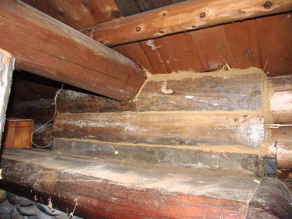 New logs above the fireplace replacing the waterlogged, rotten ones.