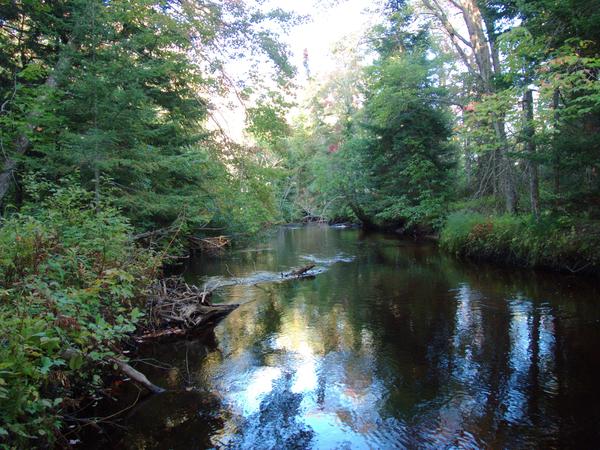 Sucker river.